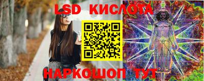 шишки Партизанск